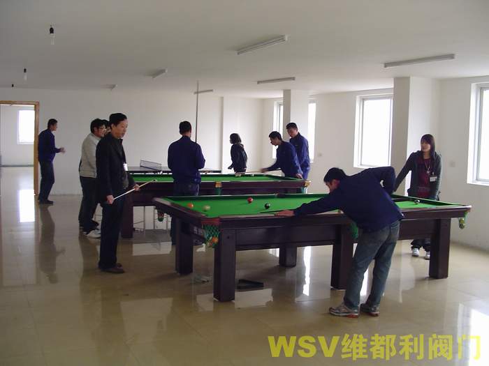 公司举行“维都利杯”迎奥运台球赛