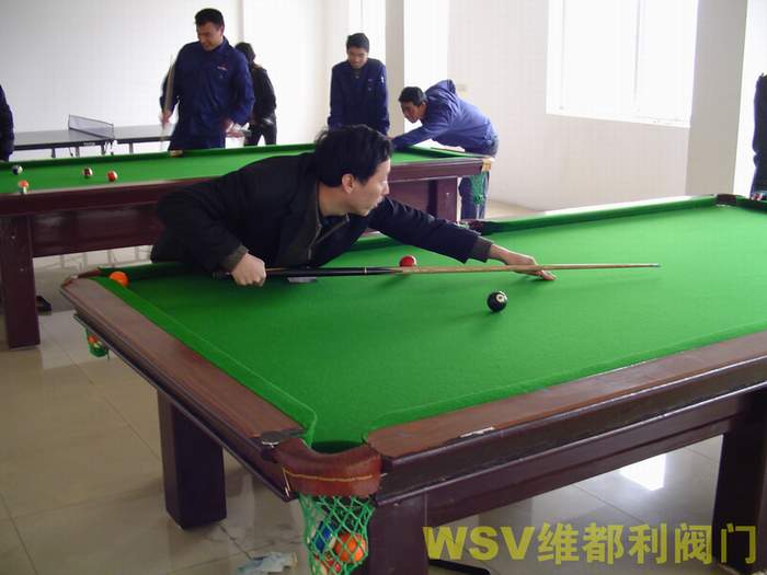 公司举行“维都利杯”迎奥运台球赛