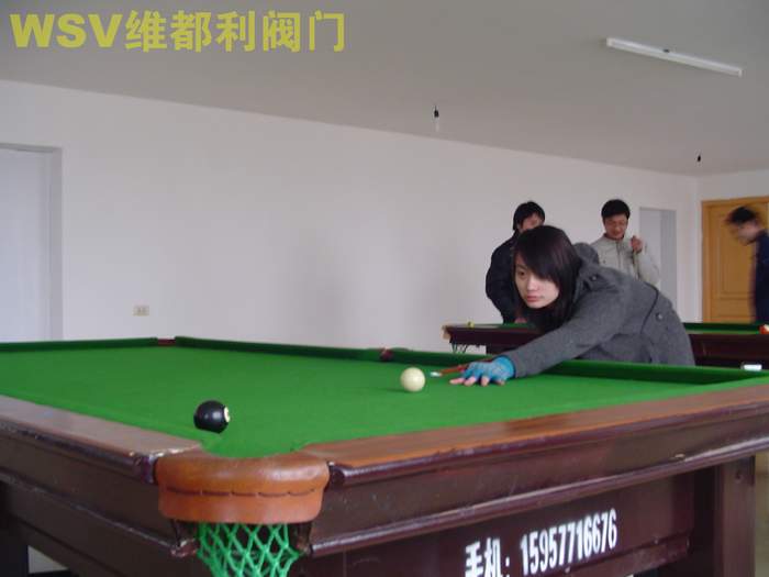 公司举行“维都利杯”迎奥运台球赛