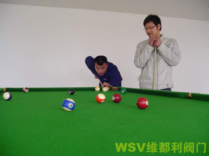公司举行“维都利杯”迎奥运台球赛