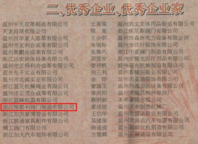2013年龙湾区优秀企业-维都利阀门有限公司