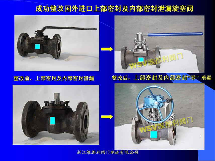成功整改国外进口上部密封及内部密封泄漏旋塞阀