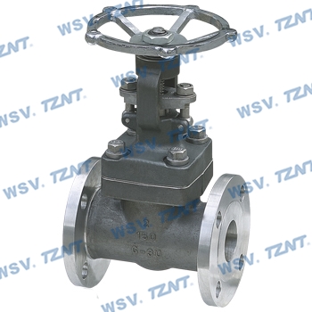 Nickel gate valve-N6, CZ-100, Nickel 200, Nickel 201, N02200, N02201-API, ASME, EN, ISO, JIS, DIN, BS, GB