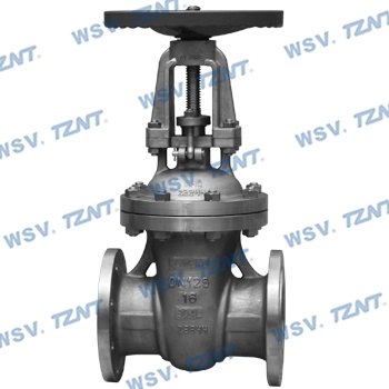 904L gate valvev-904L, A182 F904L-API, ASME, EN, ISO, JIS, DIN, BS, GB