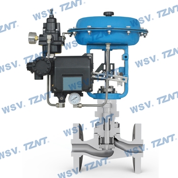 Low-flow single-seated control valve--