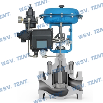 Noise-reduction single-seated control valve--