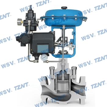 Cage guided single-seated control valve--