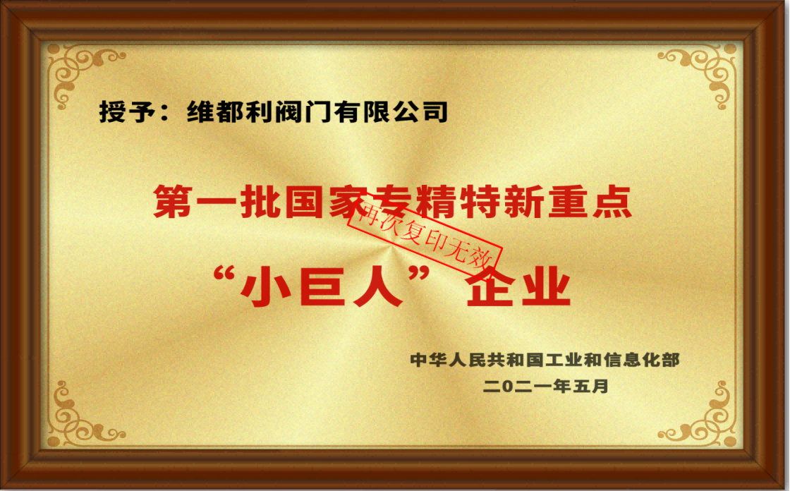 专精特新“小巨人”企业